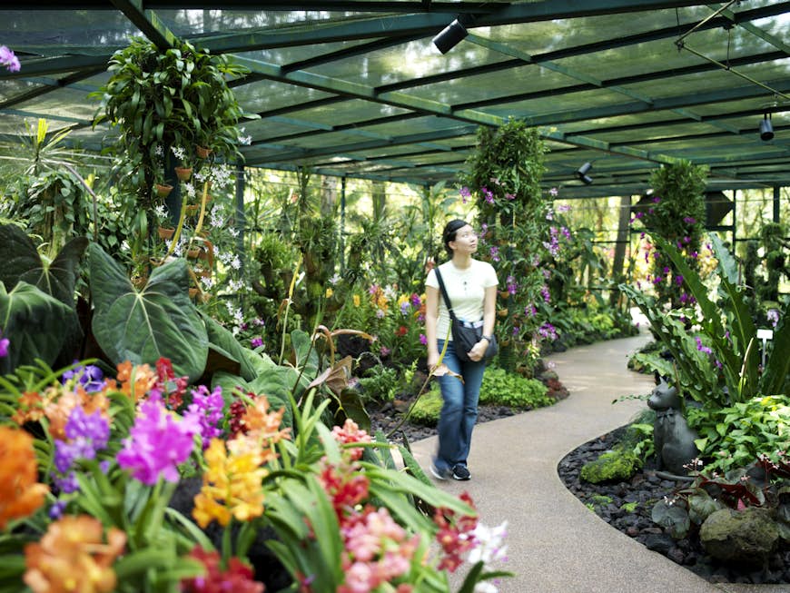 Young woman walking in orchid house at Singapore Botanic Gardens