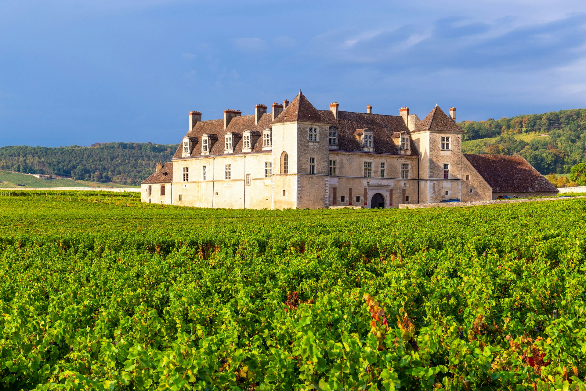 An external view of Vougeot castle in Burgundy surrounded by vineyards