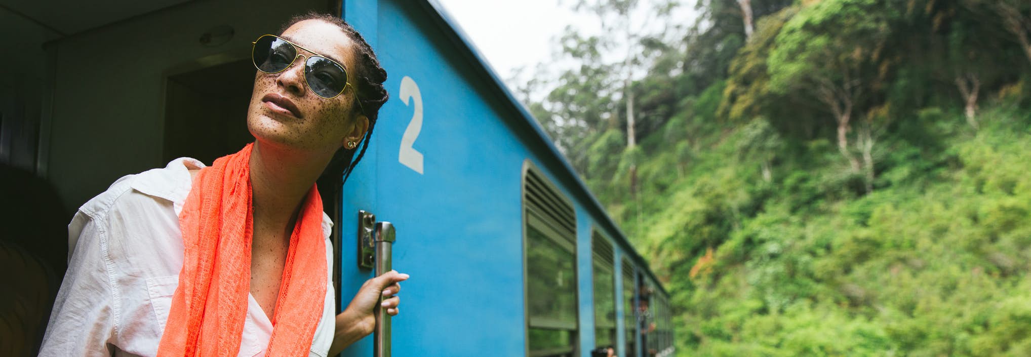 Train in Sri Lanka