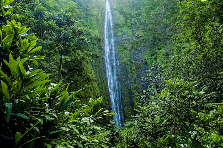 Waimoku Falls is just one of many stunning sights in Haleakala National Park Waimoku Falls at Haleakala National Park in Maui