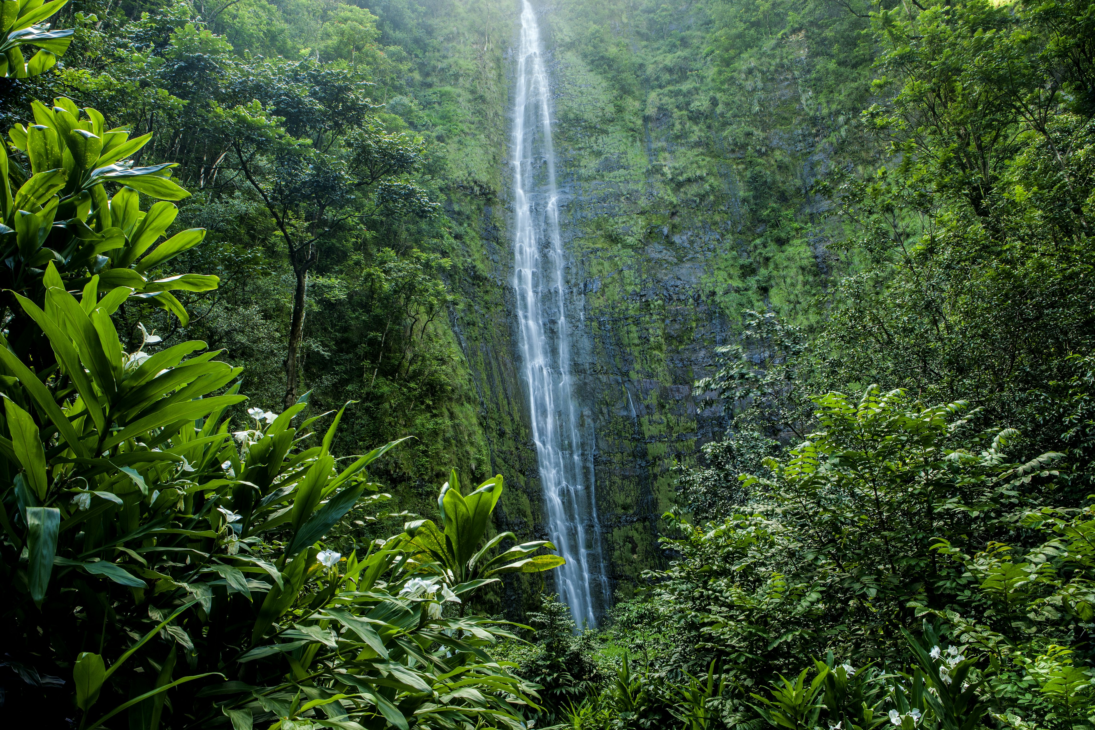 Waimoku Falls at Haleakala National Park in Maui