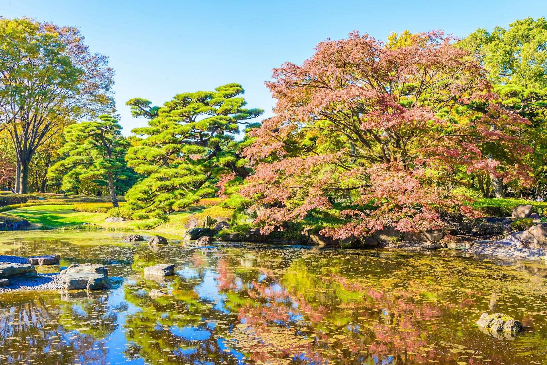 Garden in the park at imperial palace - Japan