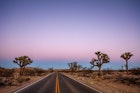 Driving through the desert, sparse trees along the road, during sunset