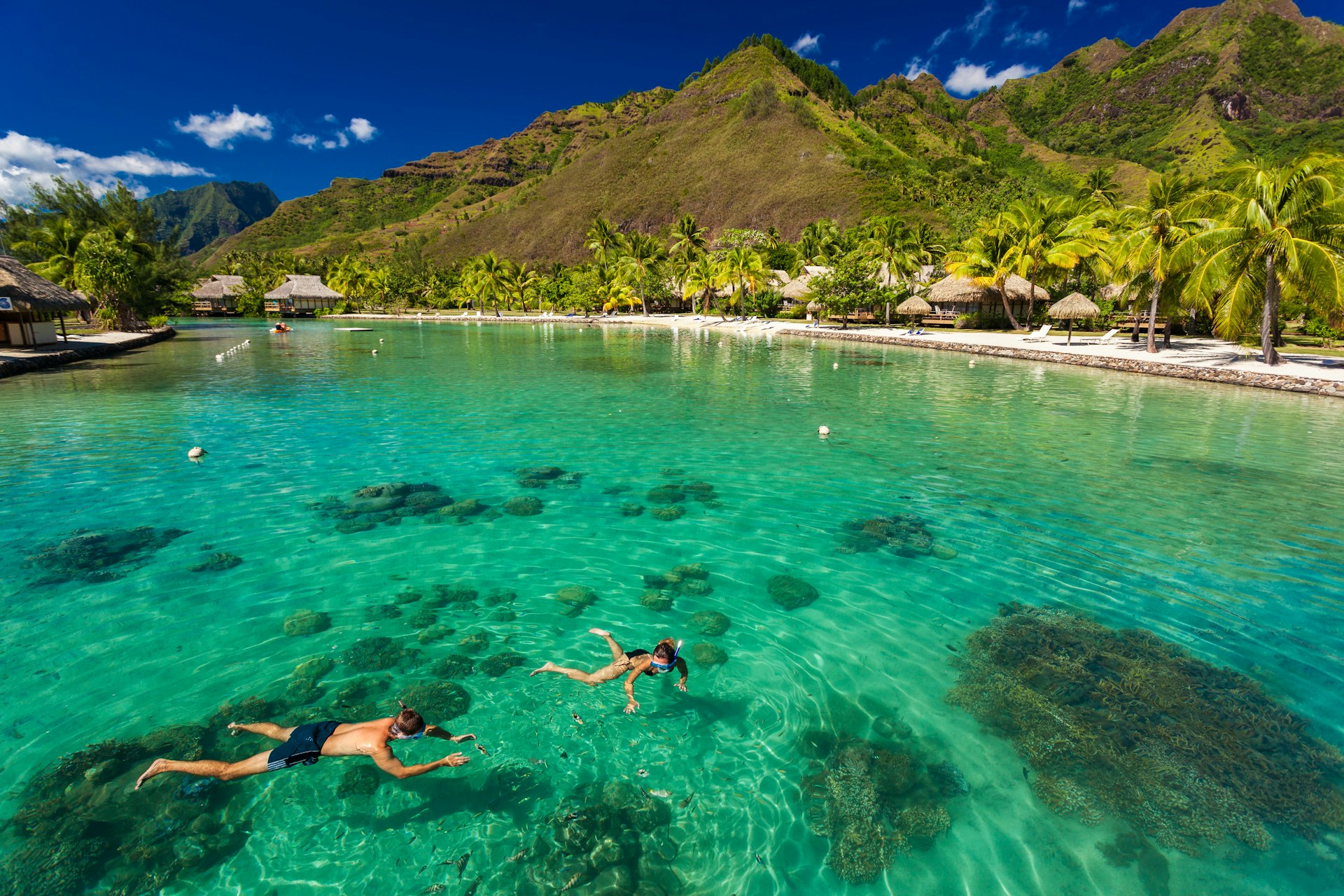 Young couple snorkeling over reef next to a resort beach, Bora Bora