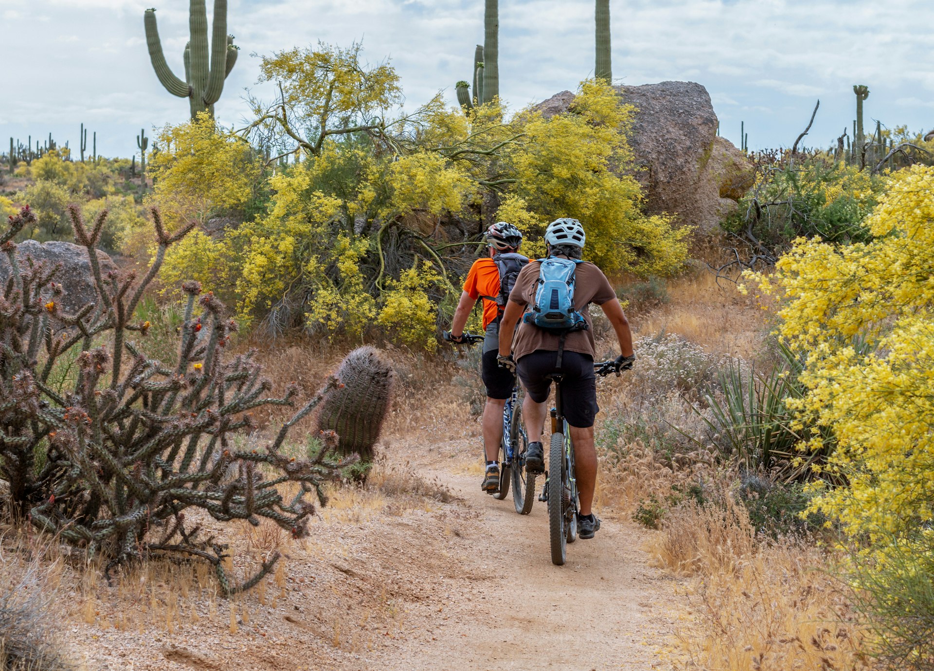 Two mountain bikers riding on a desert trail near Phoenix, Arizona