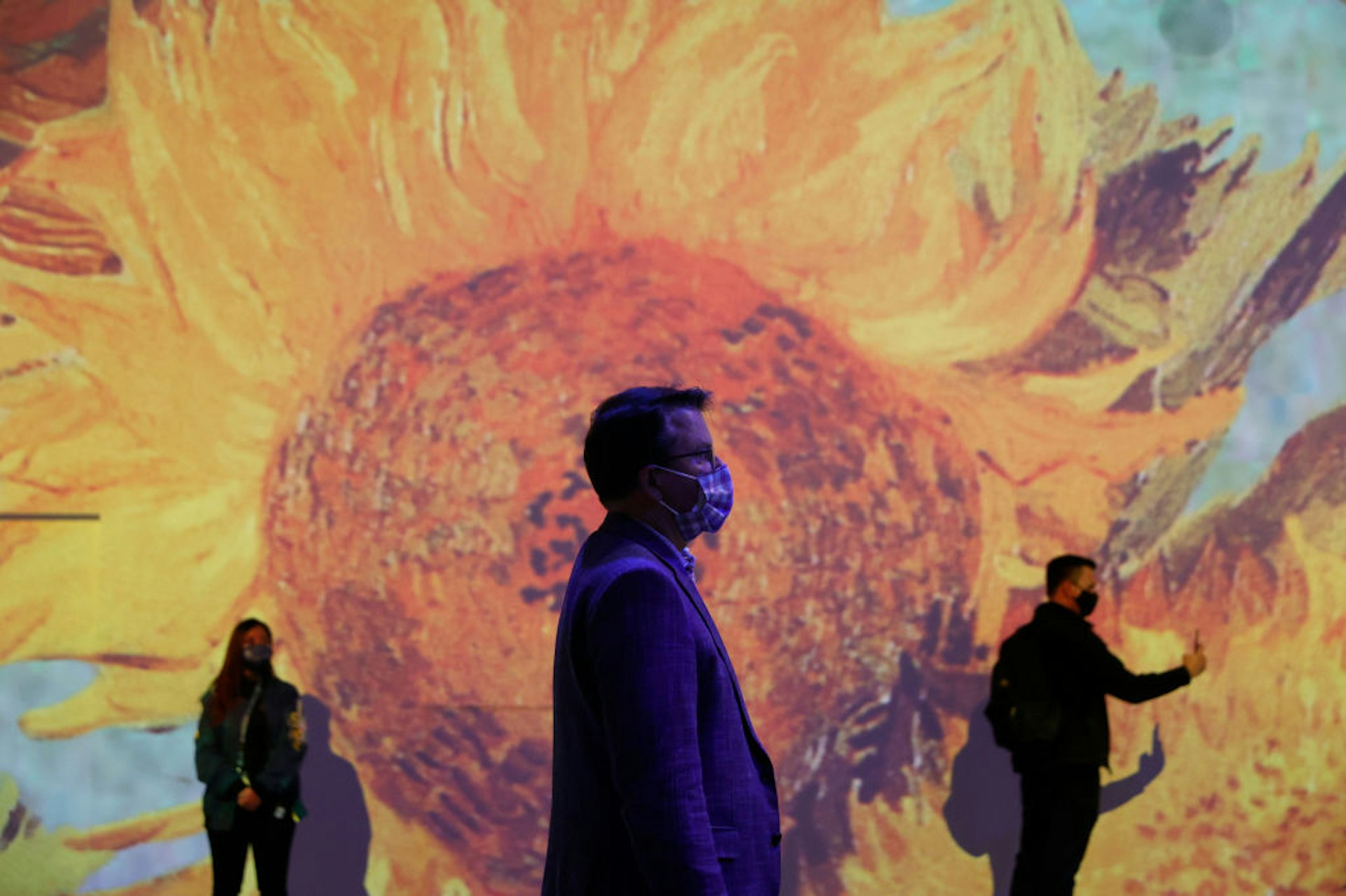 Immersive Van Gogh Exhibit To Open In San Francisco