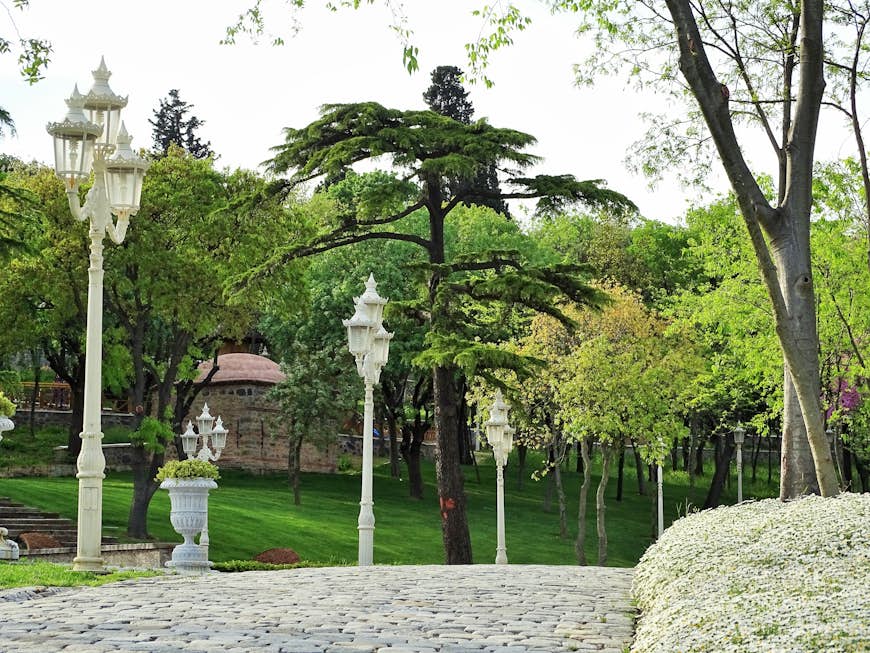 Frodig grönska och inredning i Yildiz Park i Istanbul