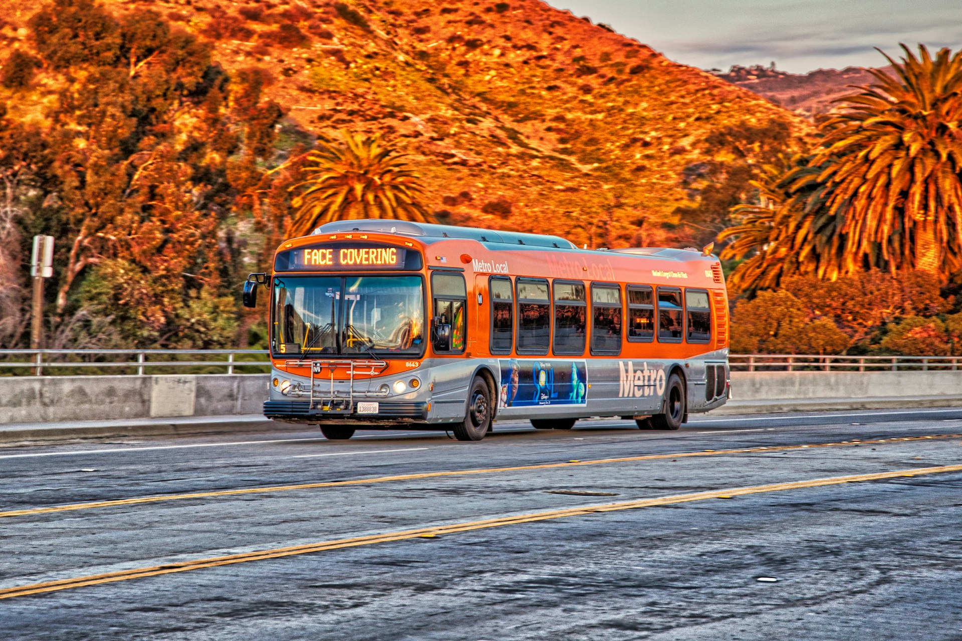 Los Angeles Metro Line 534 bus on the road