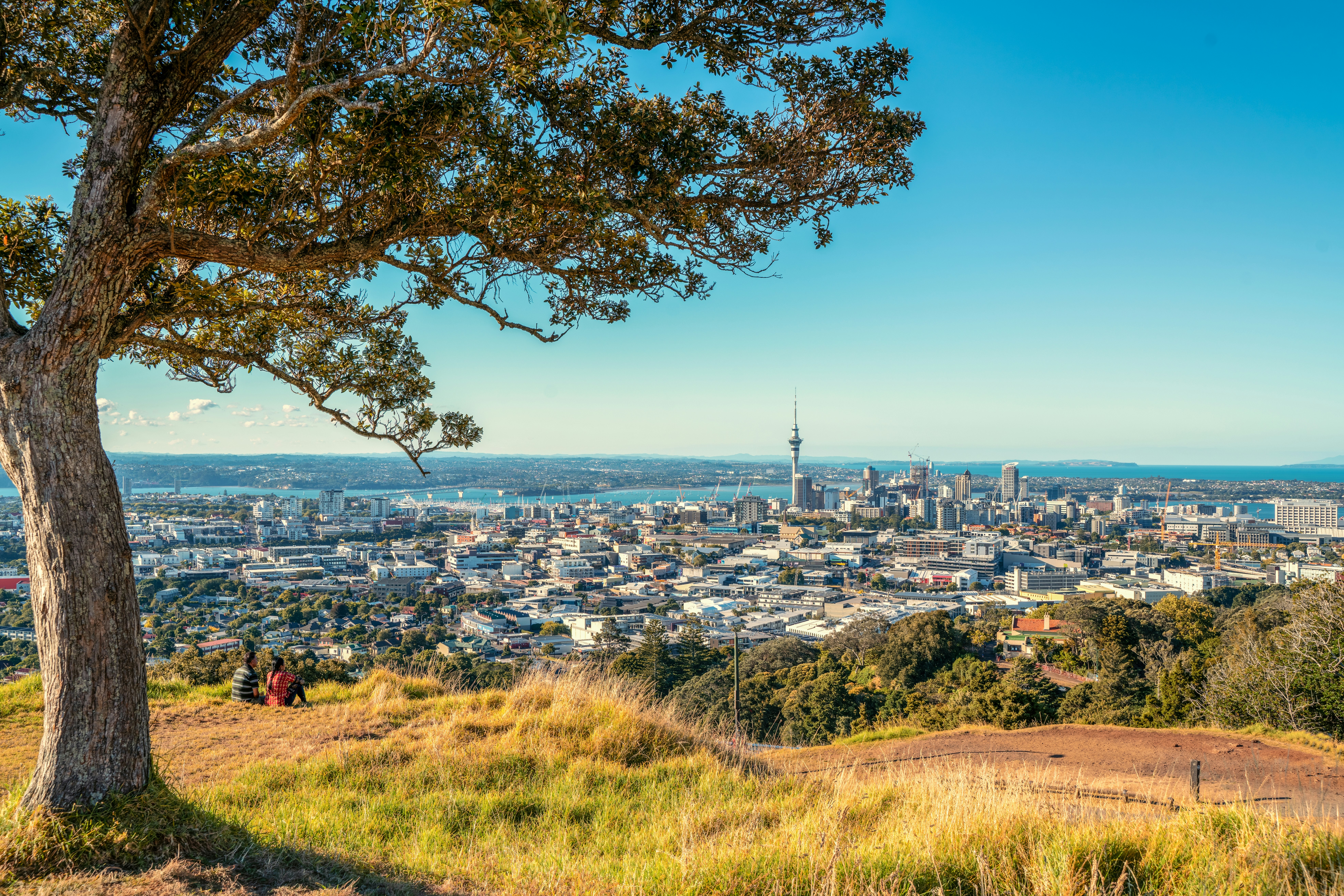 New Zealand, North Island, Mount Eden, Auckland, cityscape
