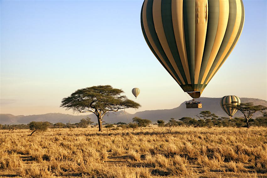 Trois montgolfières dérivent au-dessus des plaines du parc national du Serengeti à l'aube