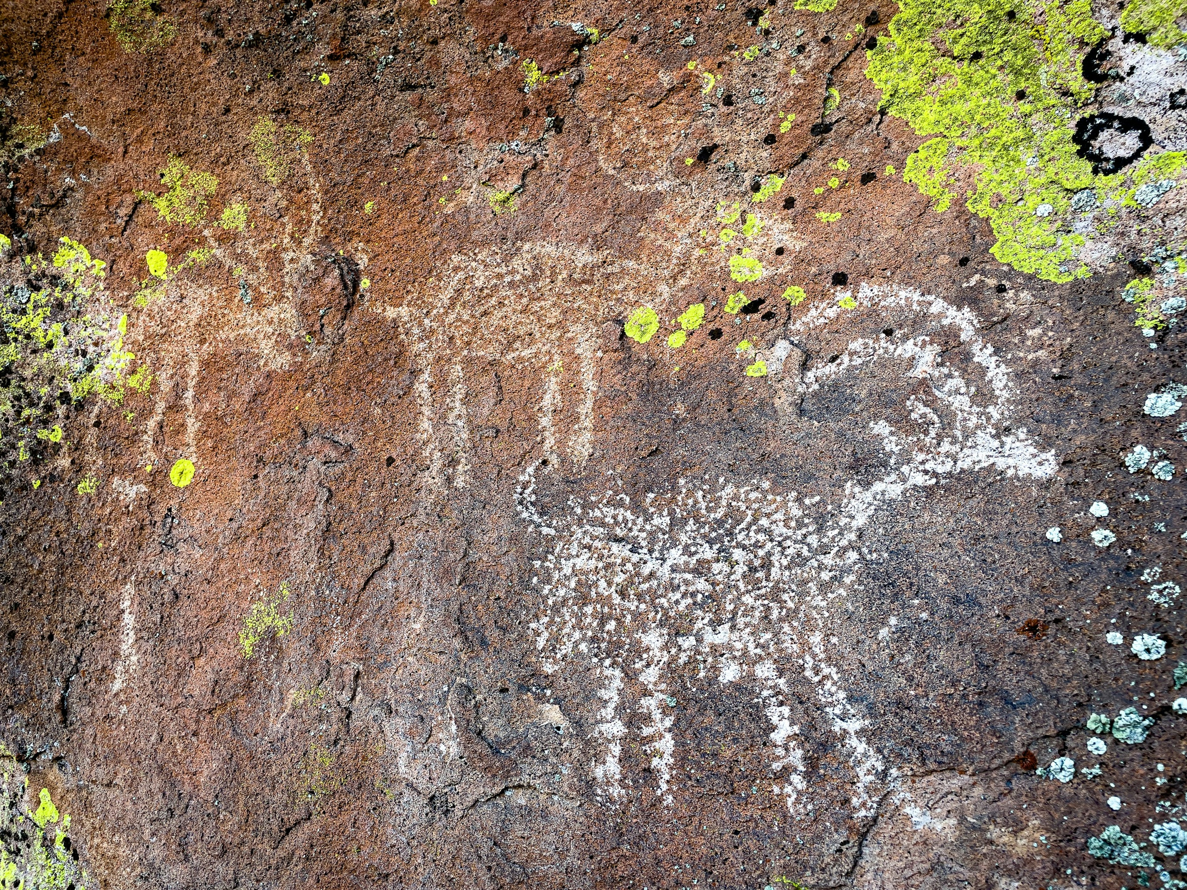 BasinRange_Petroglyphs1.jpg