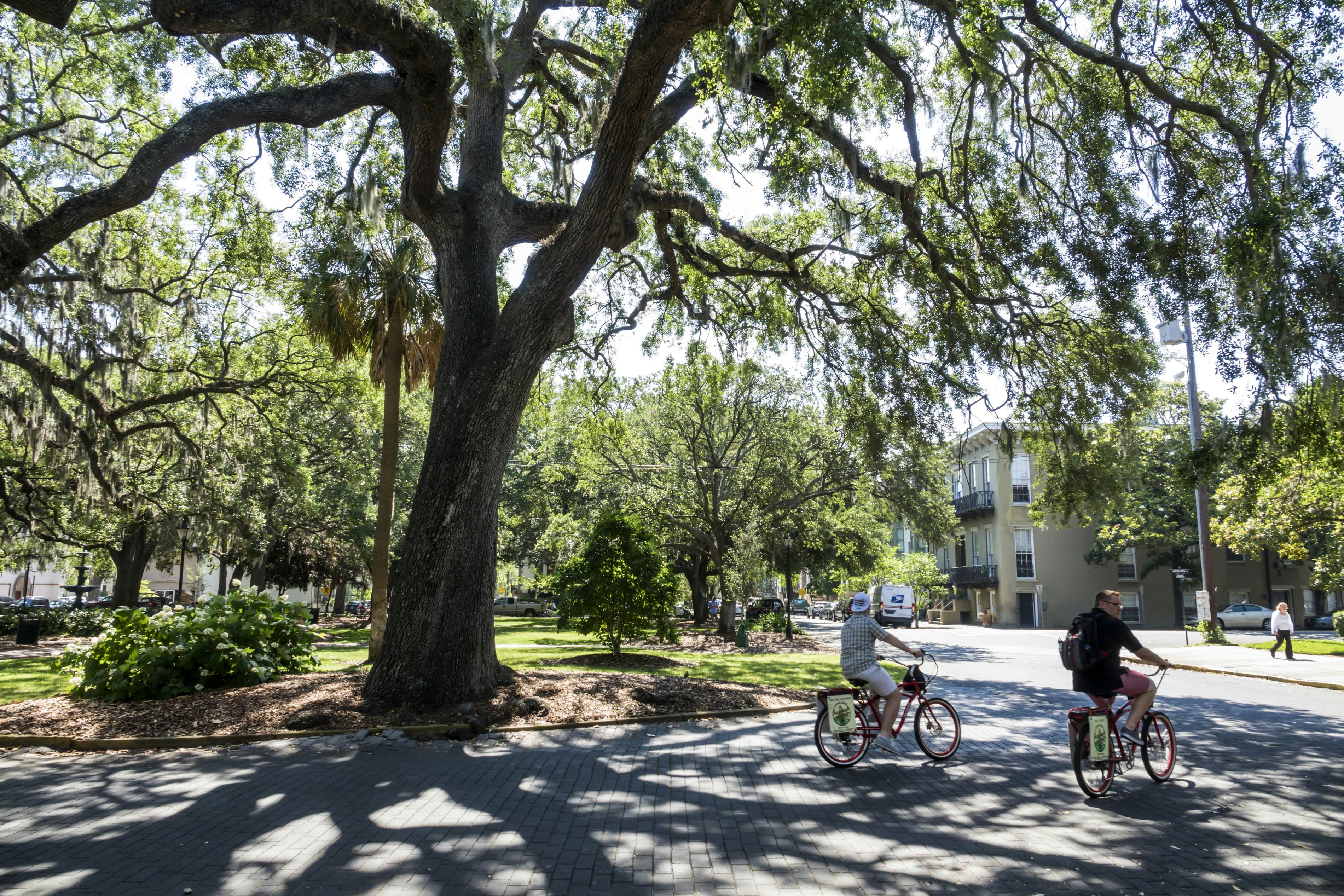 Best Parks In Savannah - Lonely Planet