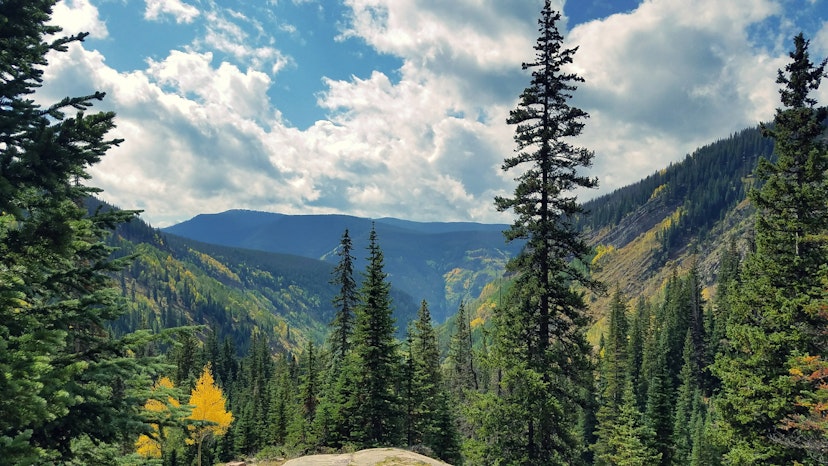 Taken on Booth Falls trail in Vail, Colorado while hiking.