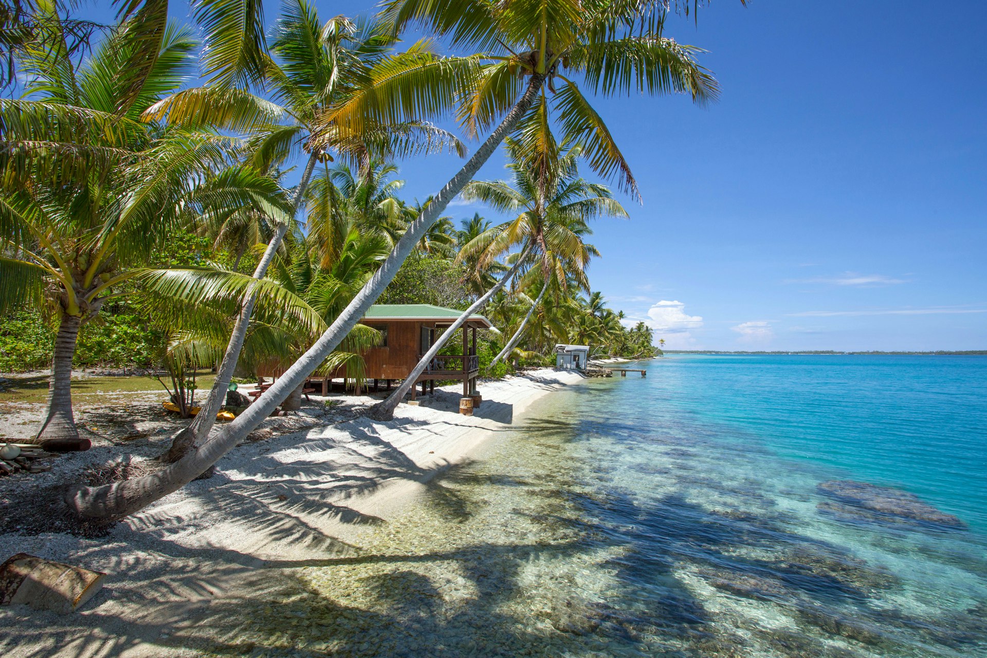 Palm trees and a small hut on the Manihiki coastline in the Cook Islands