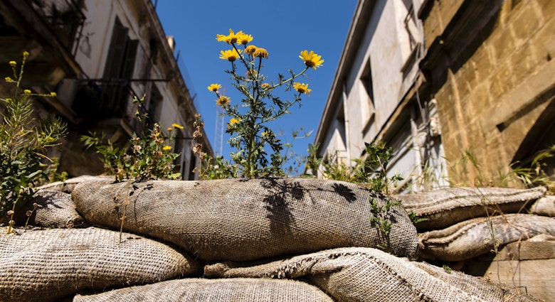 A picture taken on April 7, 2017 shows vegetation growing on a barrier made of barrels in the green line, a UN controlled buffer zone, separating the divided Cypriot capital Nicosia. 