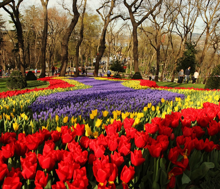 Istanbul,Turkey- April 2, 2013: Emirgan Park in Istanbul during the city's annual tulip festival.