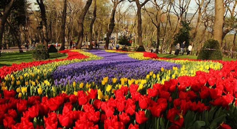 Istanbul,Turkey- April 2, 2013: Emirgan Park in Istanbul during the city's annual tulip festival.