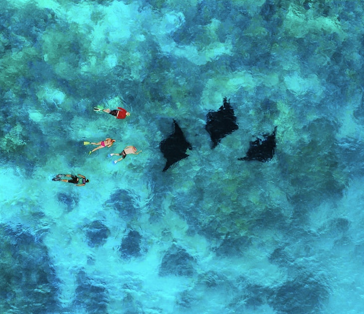 Fiji-AZ_Diving.jpg