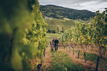 Couple walks through vineyard in Freiburg, Germany.