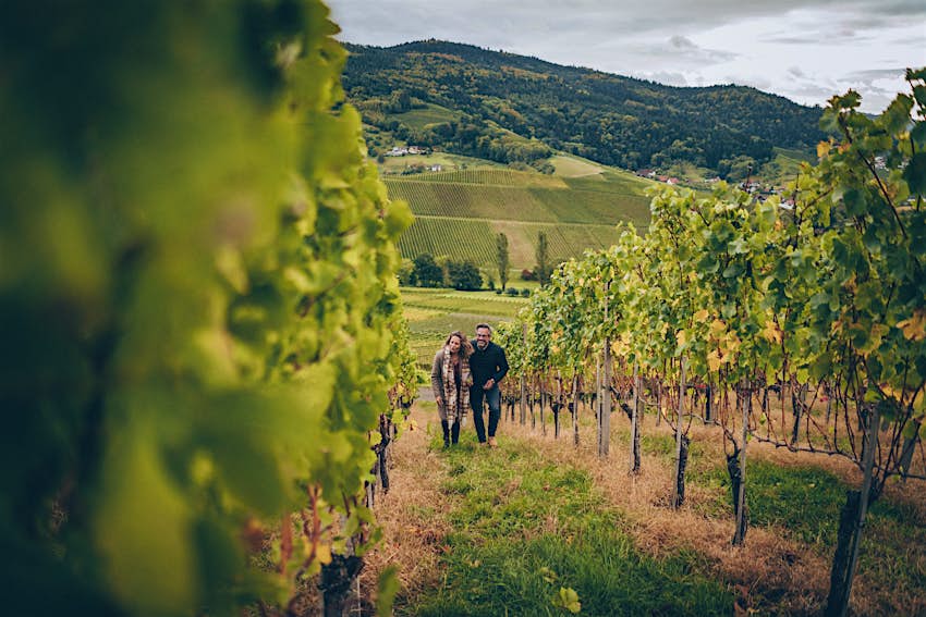 A couple walk together in a vineyard as part of their hike in Freiburg