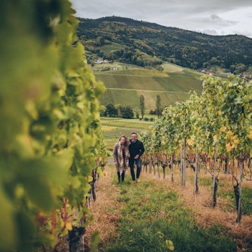 Couple walks through vineyard in Freiburg, Germany.