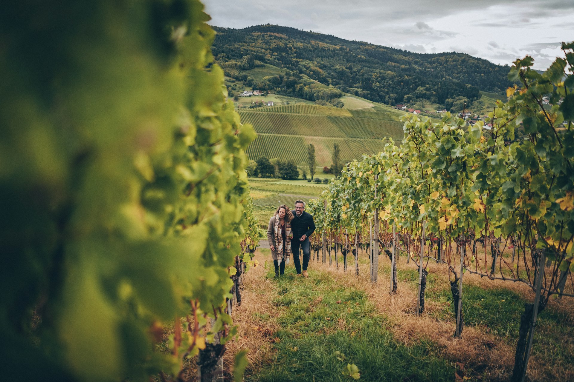 A couple is walking through a vineyard together as part of their hike in Frieburg