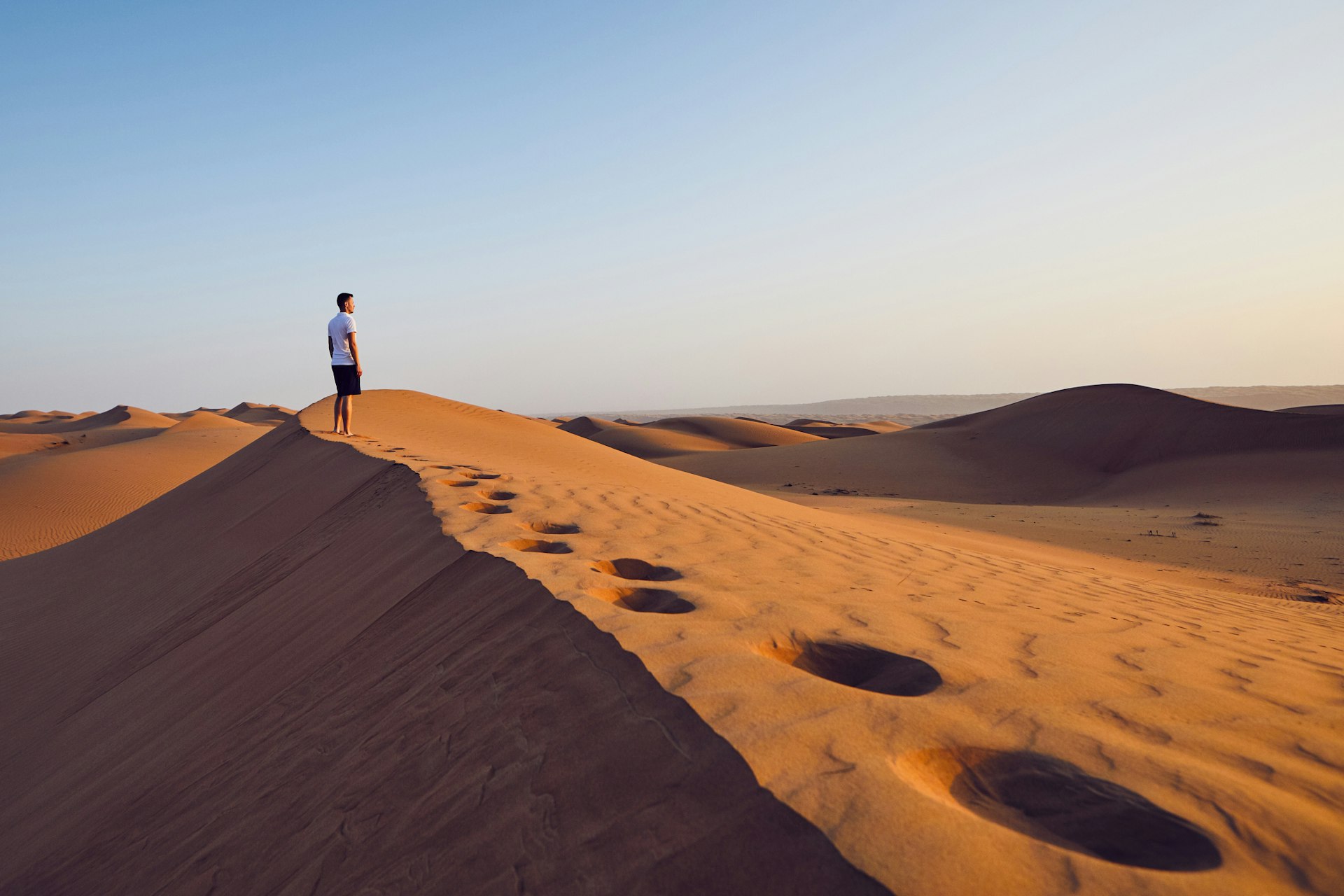 A single figure stands on a sand dune staring off into the desert