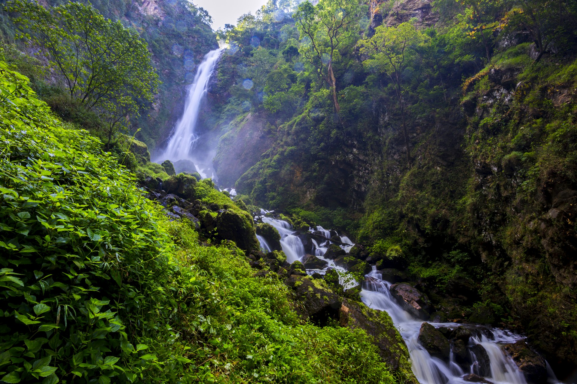 A cascade of waterfall in an area covered in dense green undergrowth