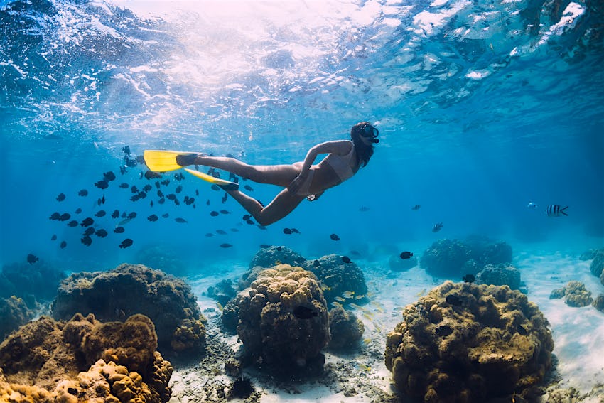 Woman snorkeling in school of fish in Mauritius