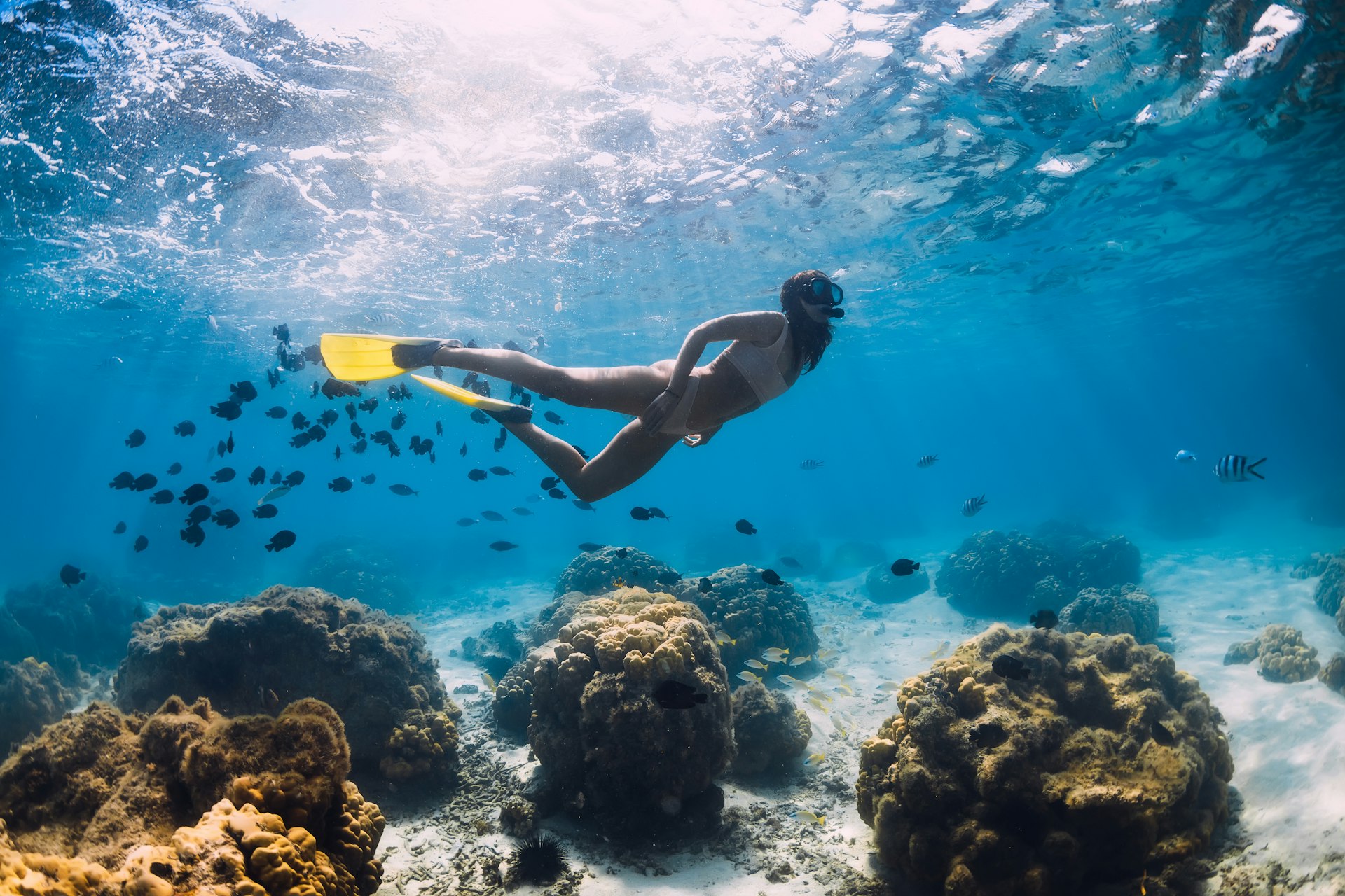 Free diver girl swims with school of fishes in Mauritius