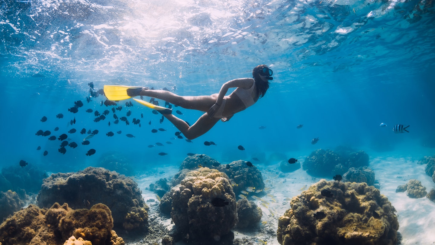 Free diver girl swims with school of fishes in Mauritius