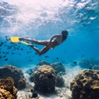 Free diver girl swims with school of fishes in Mauritius