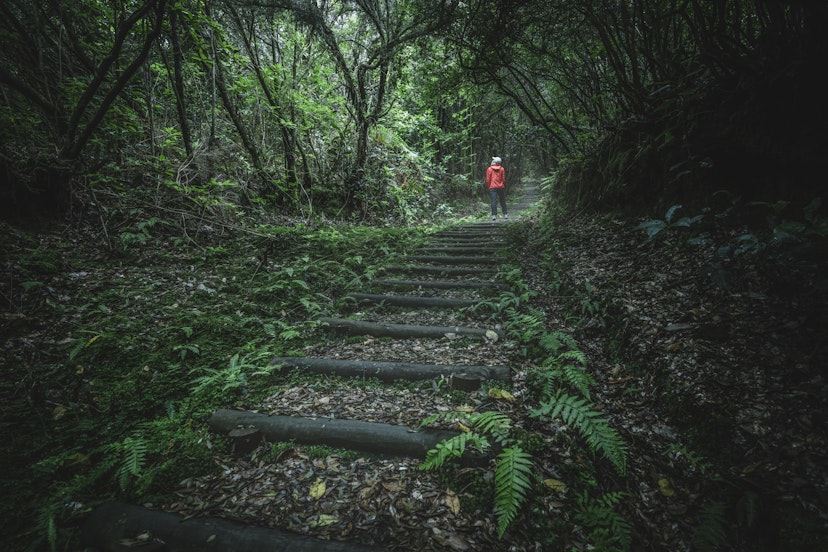 sustainable hiking in Laurisilva forest in Madeira
