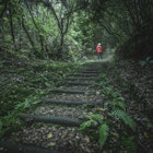 sustainable hiking in Laurisilva forest in Madeira