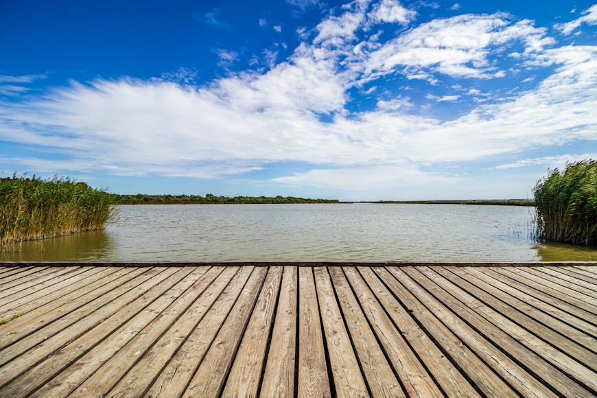 A wooden boardwalk along the edge of an empty lake on a sunny day