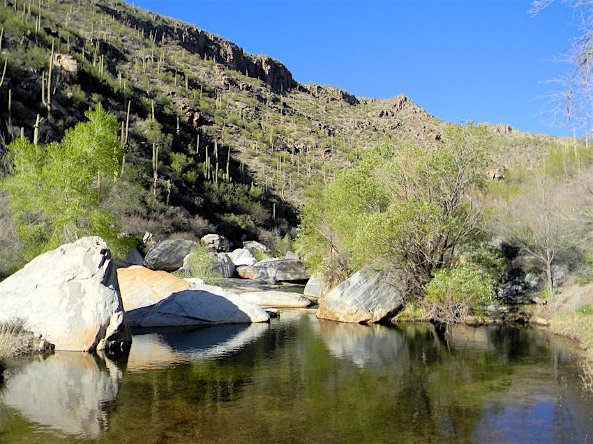 sabino canyon recreation area stream