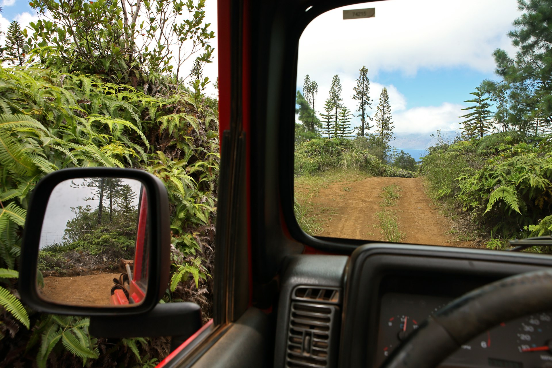 The Munro Trail from the inside of a Jeep; Munro Trail, Lana‘i, Hawaii