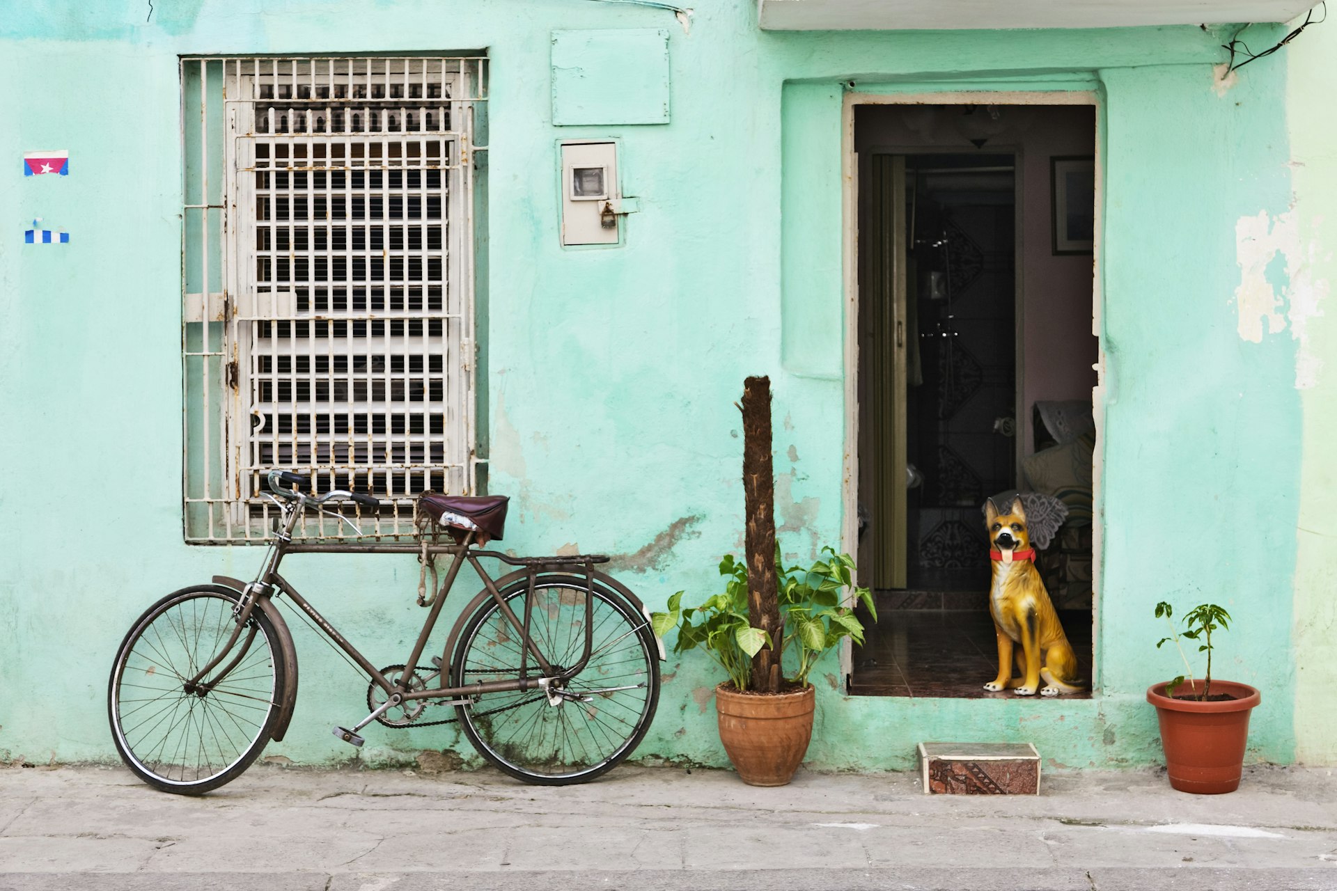 A dog in the doorway of a home in Havana, Cuba