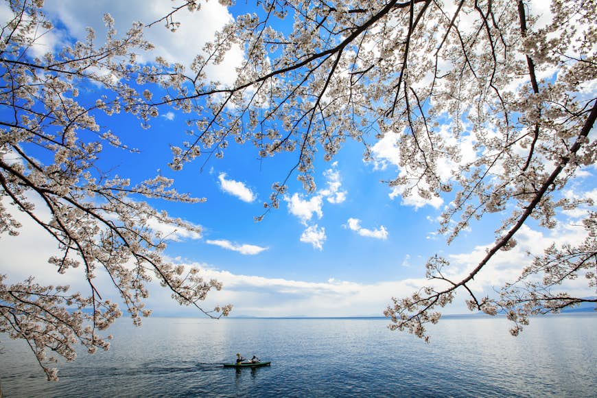 Cherry blossom frames the shot of two kayakers on a lake