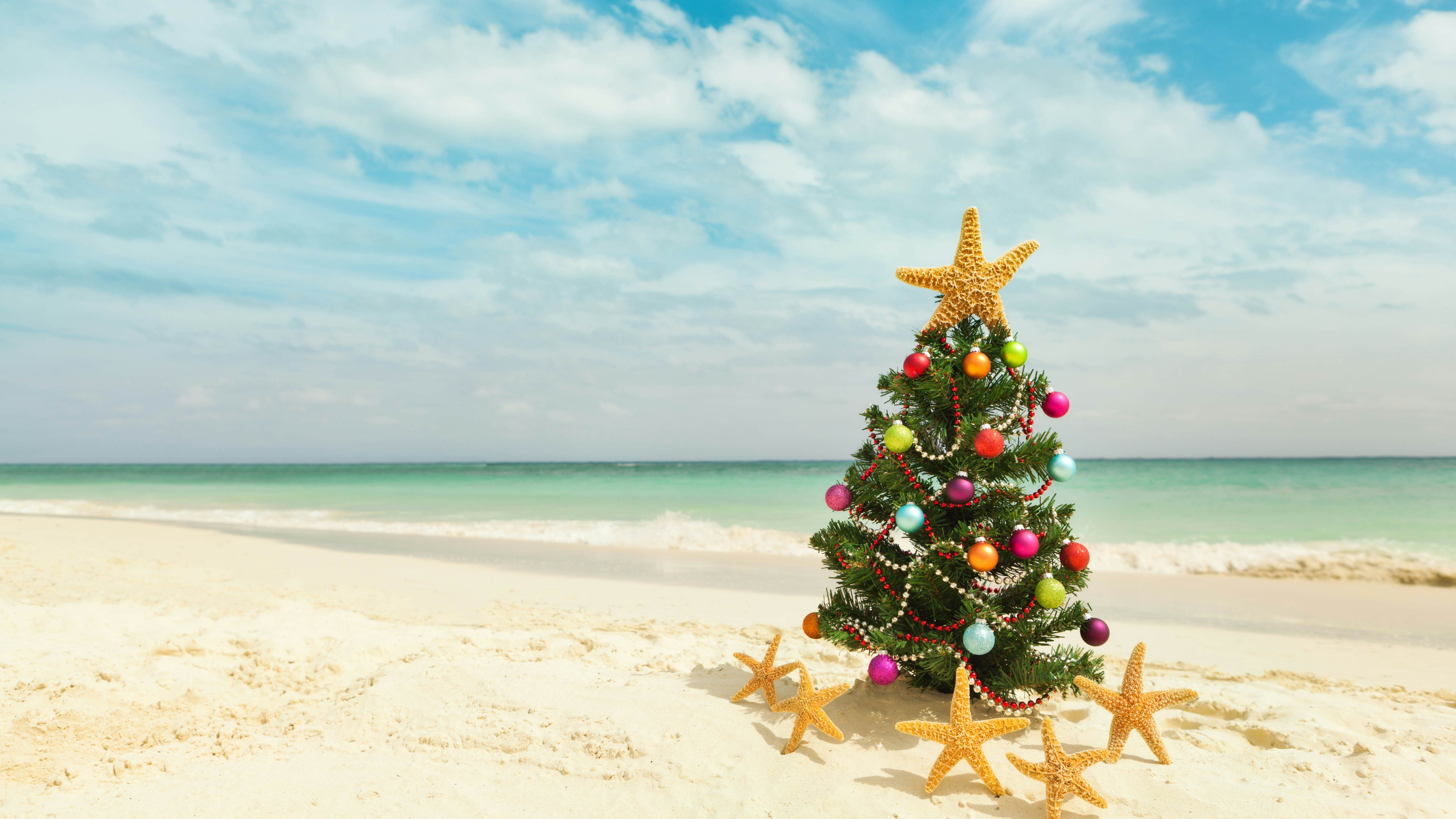 5 top Caribbean destinations this Christmas – Lonely Planet