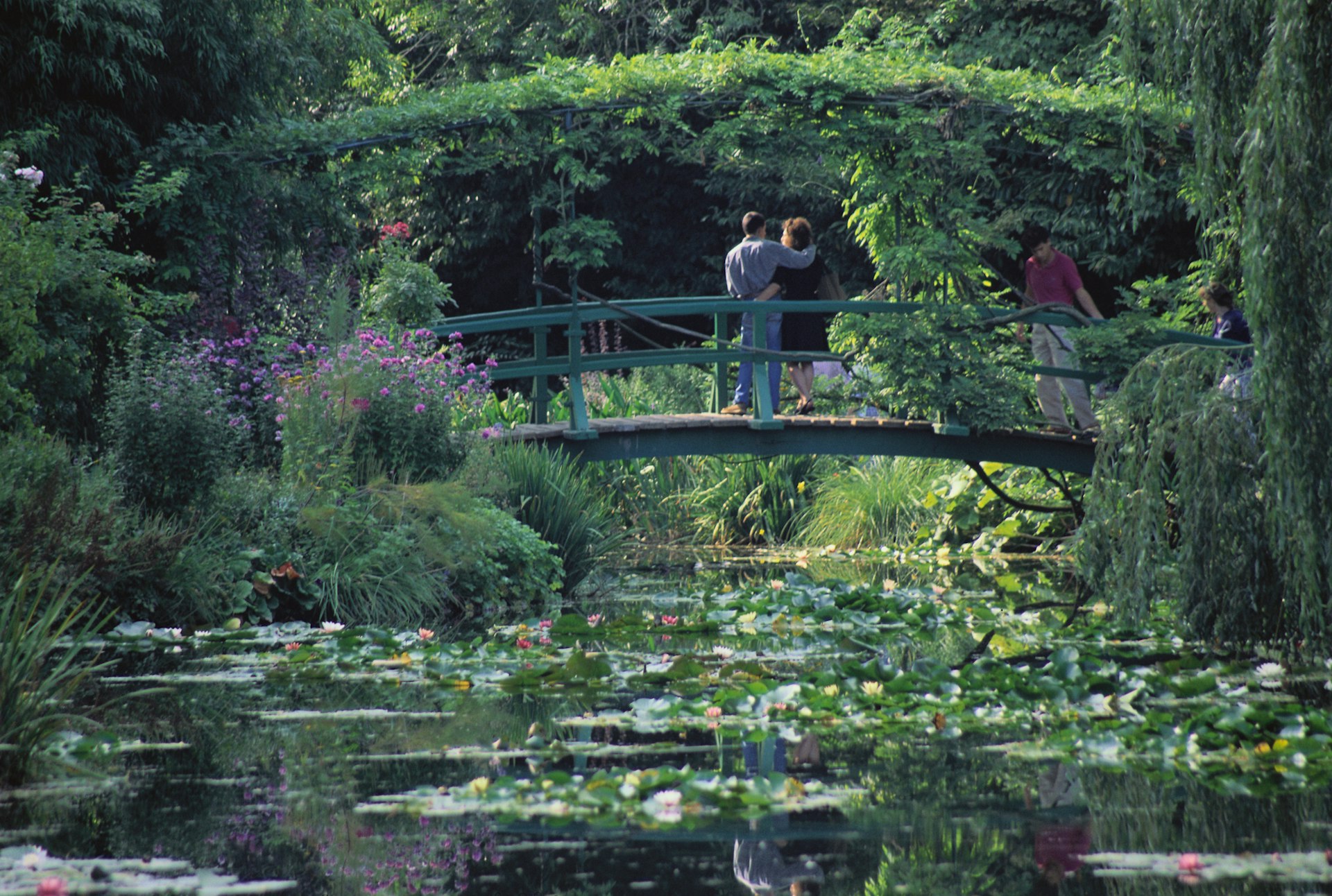 A couple hug each other as they enjoy the view from a birdge over a peaceful lily pond in a garden