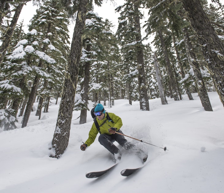 Backcountry skier in the trees near Stevens Pass, Washington - stock photo