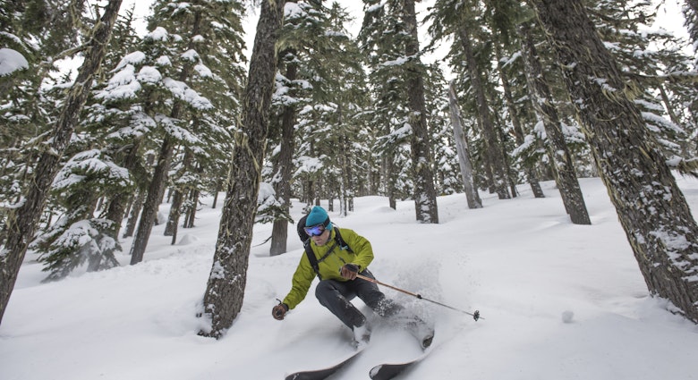 Backcountry skier in the trees near Stevens Pass, Washington - stock photo