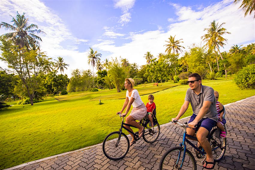 Two adults ride two bicycles with children on the back on a path through a green space lined with palm trees