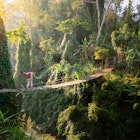 Backpacker on a suspension bridge in rainforest