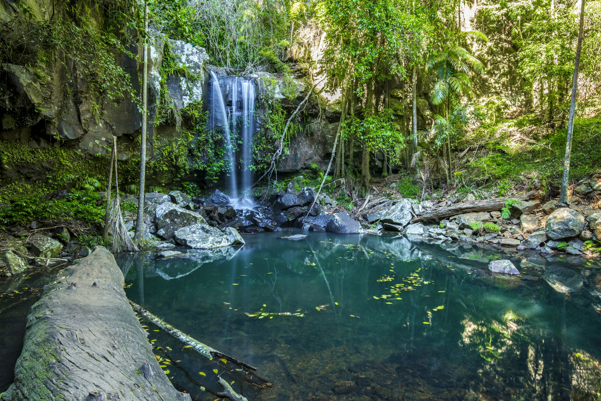 A waterfall plunges into a pool in a rainforest