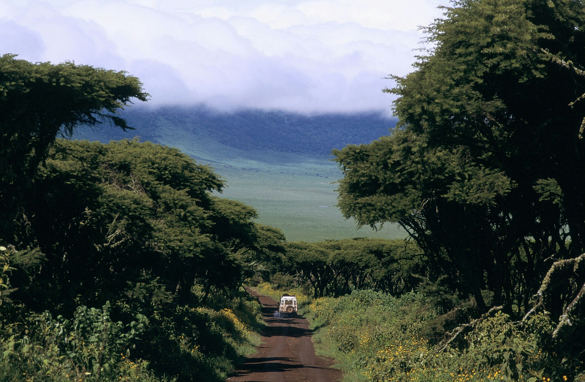 A safari truck winds down a narrow dirt road