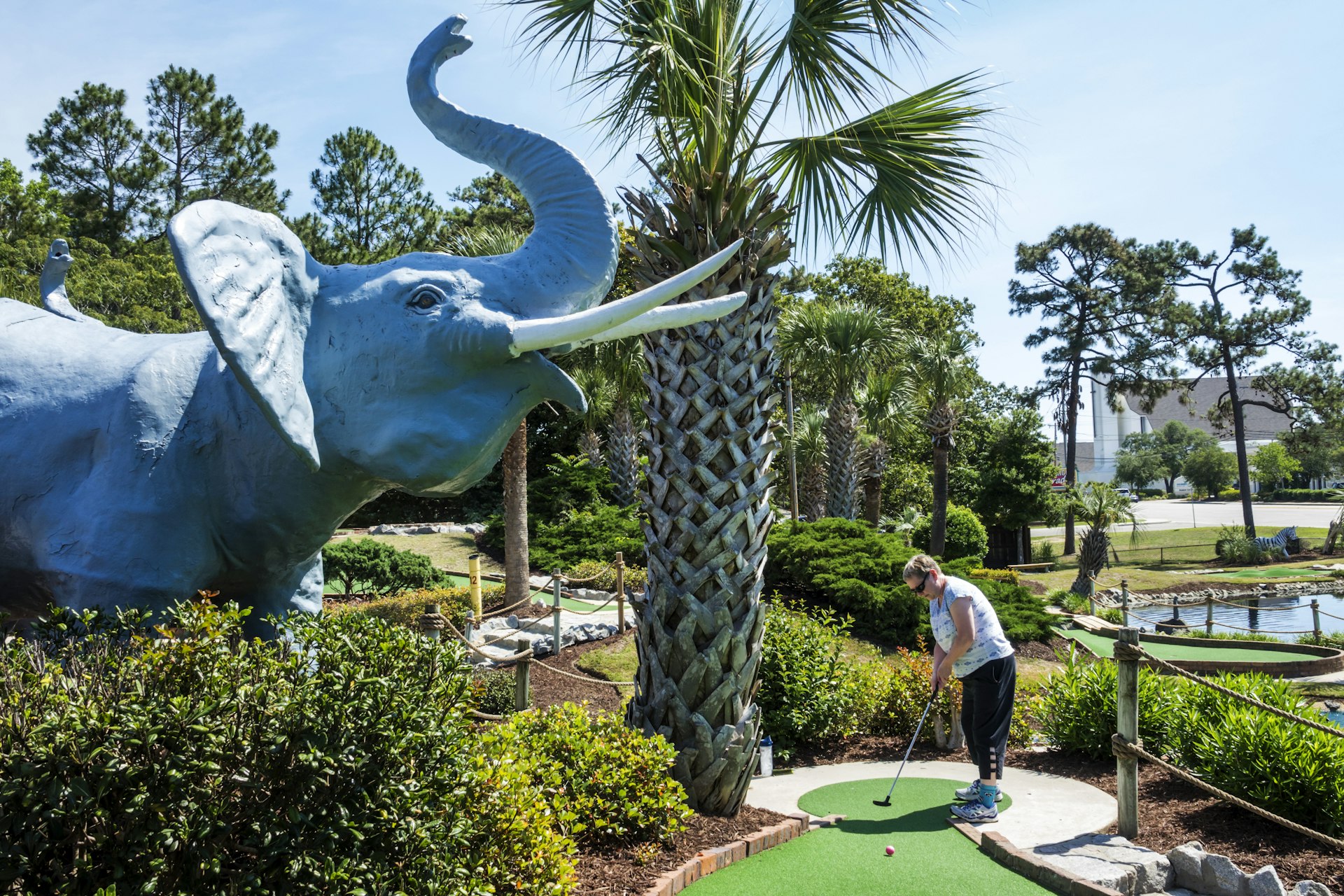 A woman puts at a mini-golf course next to a palm tree and fiberglass elephant in Myrtle Beach