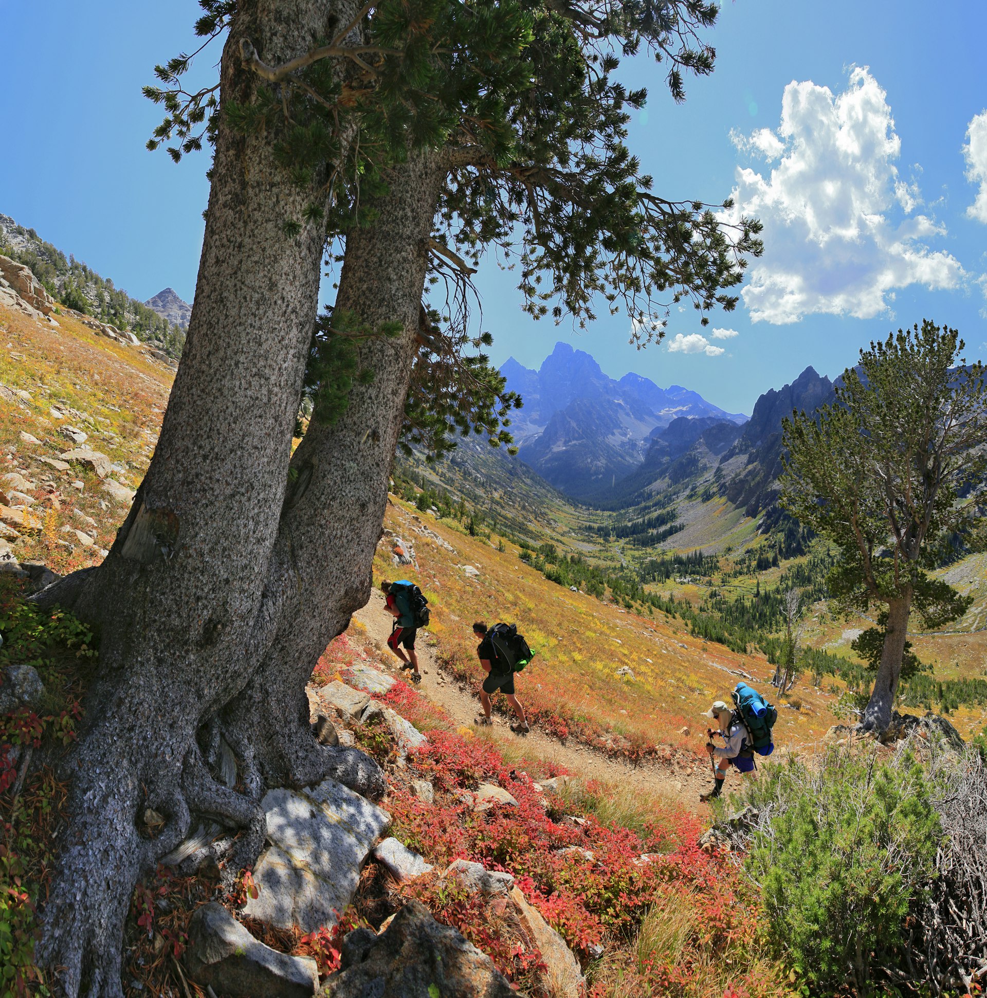 Hikers in Grand Teton National Park