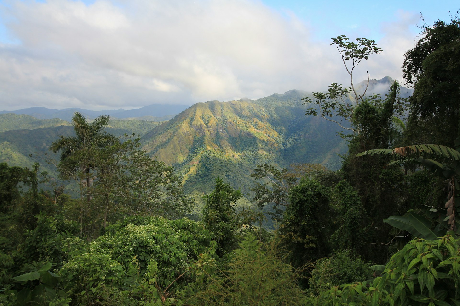 Lush mountains and forest seen from a distance in Parque Nacional Turquino